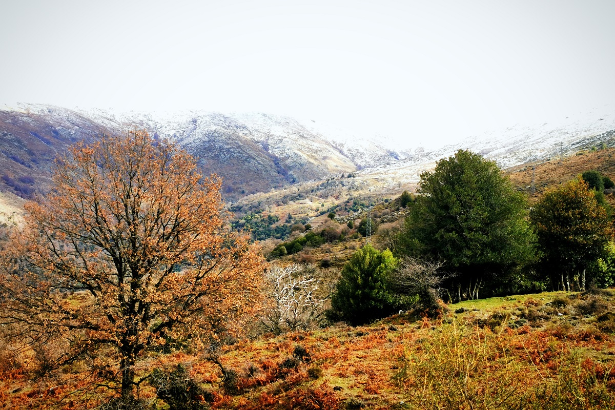 ESCAPADA DE TARDOR A LA BARBÀGIA , LA SARDENYA MÉS AUTÈNTICA 